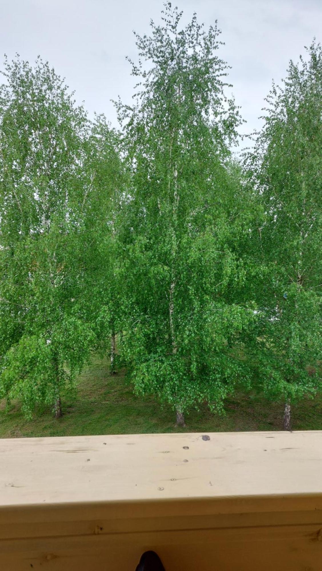 Apartamentai Gertruda Druskininkai Ngoại thất bức ảnh